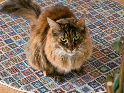 Collection image for: Best Designs