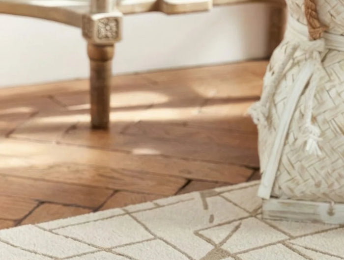 <h2>Plushy<em><strong>Tufted<br/></strong></em>Modern Rugs</h2>